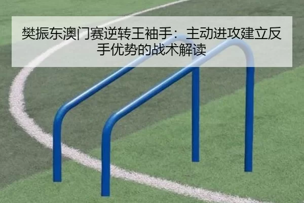 樊振东澳门赛逆转王袖手：主动进攻建立反手优势的战术解读